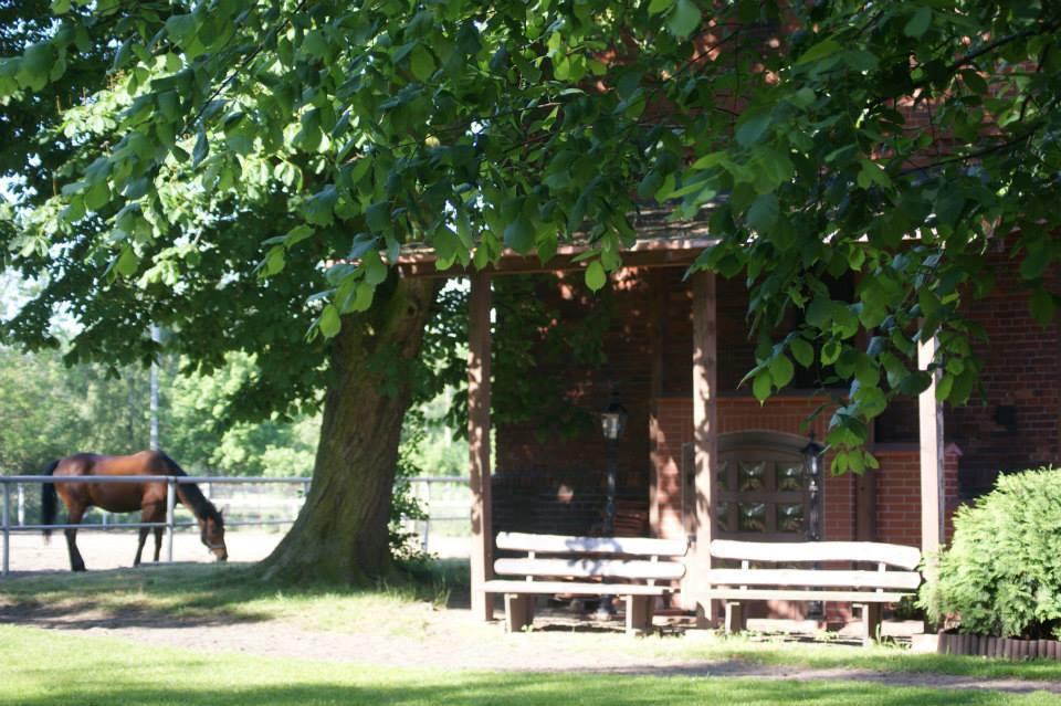 Hostel Milosz Grabowiec  Exteriör bild